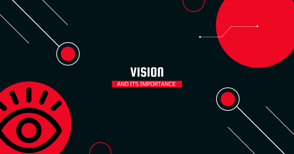 VISION